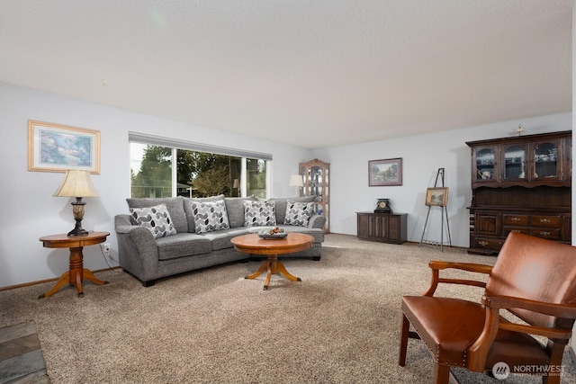 living room featuring carpet flooring