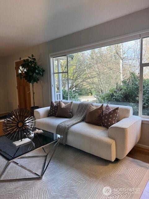 living area featuring plenty of natural light and wood finished floors