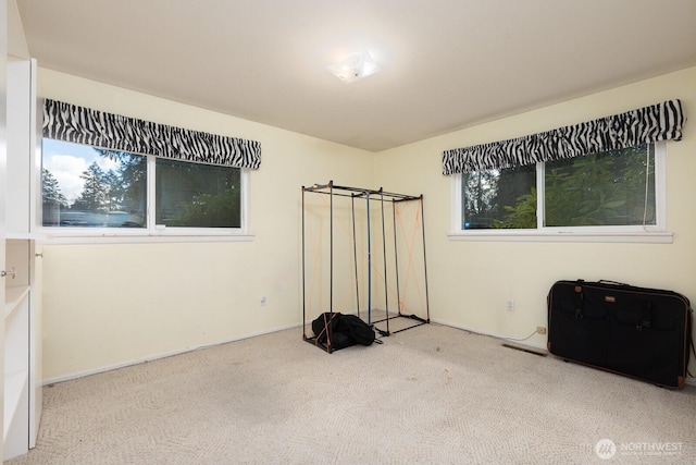 unfurnished bedroom featuring carpet floors