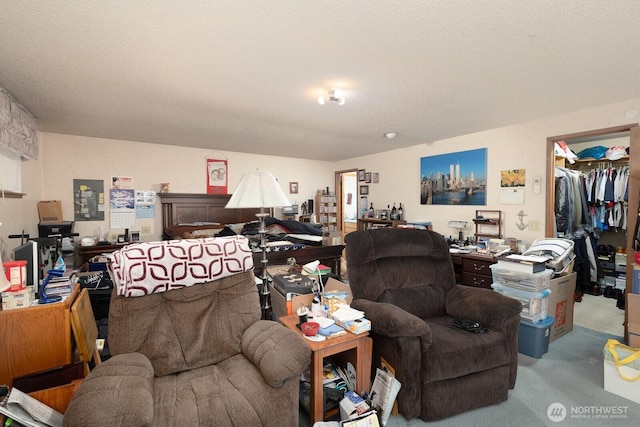 carpeted living room with a textured ceiling