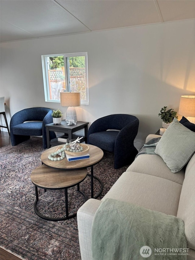 living area featuring wood finished floors