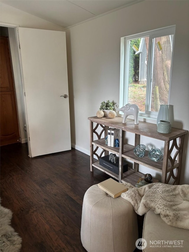 office with dark wood-type flooring, baseboards, and vaulted ceiling