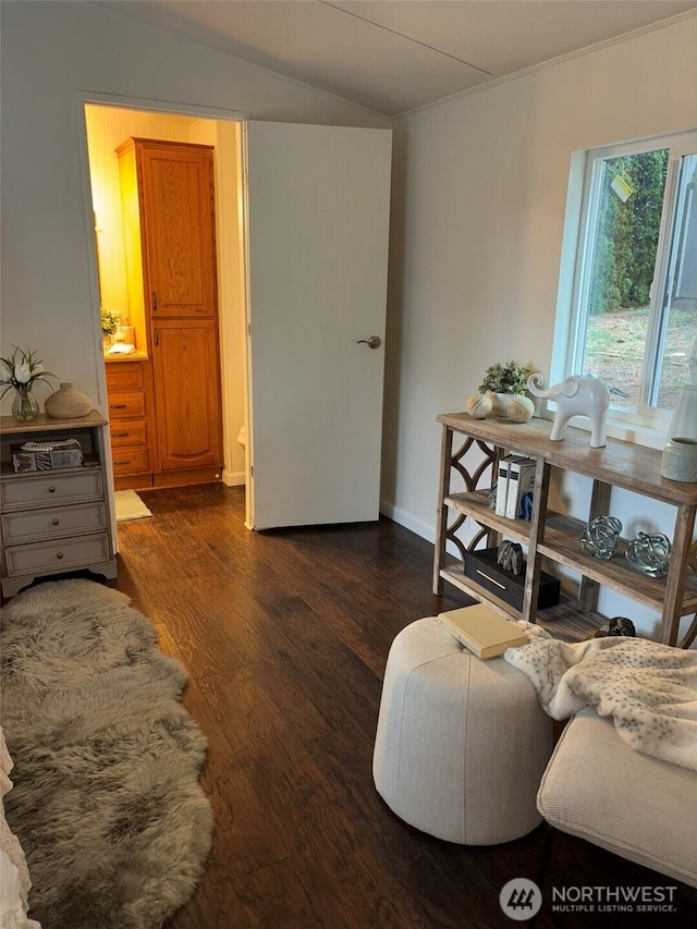 living room featuring vaulted ceiling and dark wood-style floors