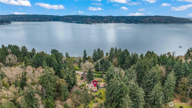 aerial view featuring a water view and a wooded view