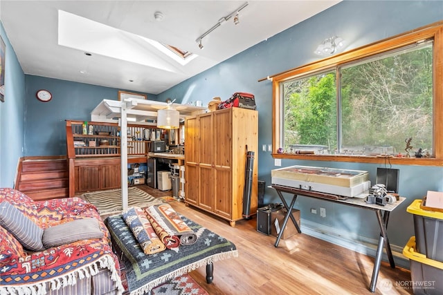 living room with a skylight, track lighting, and wood finished floors