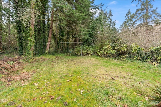 view of yard with a view of trees