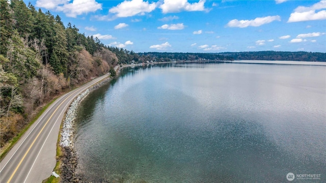 water view with a wooded view