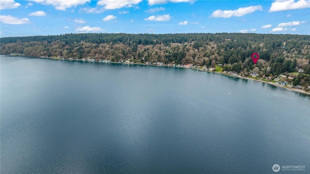 drone / aerial view with a water view and a view of trees