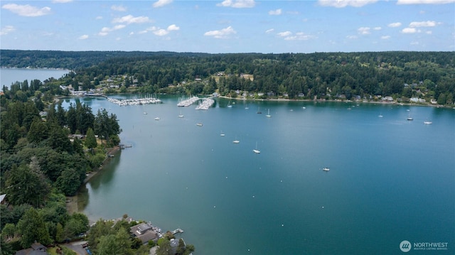 aerial view featuring a water view and a wooded view