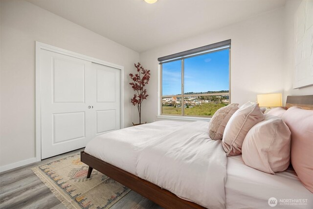 bedroom featuring a closet, wood finished floors, and baseboards