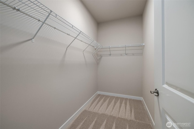 776 Parkland Loop, Sedro Woolley, WA 98284 - spacious closet with carpet