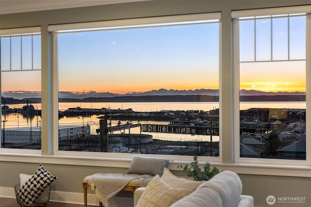 living area featuring baseboards and a water and mountain view