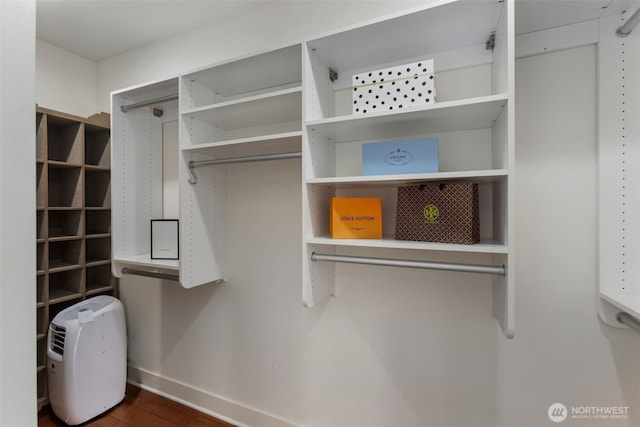 spacious closet featuring wood finished floors