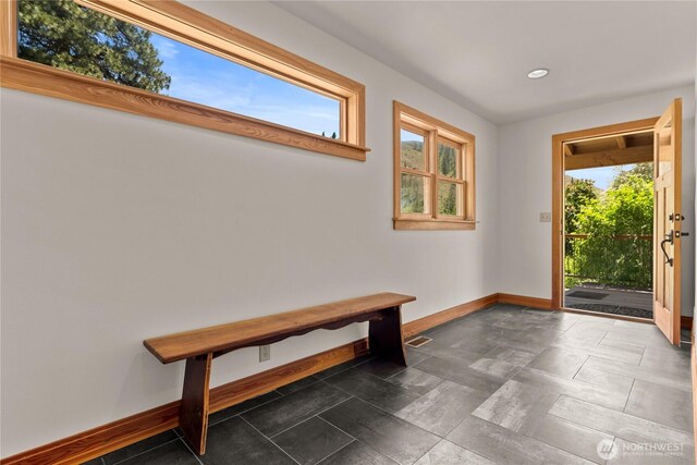 50 Sage Canyon Dr, Winthrop, WA 98862 - entrance foyer featuring baseboards and recessed lighting