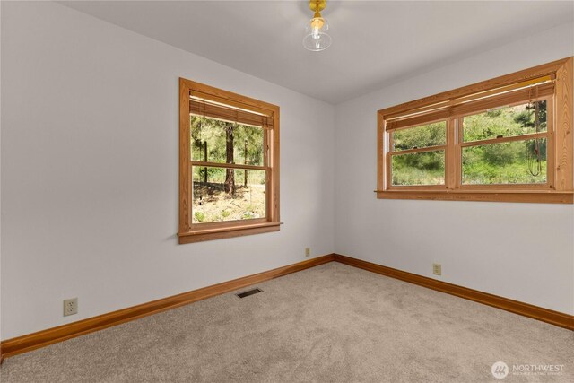 50 Sage Canyon Dr, Winthrop, WA 98862 - spare room featuring plenty of natural light and carpet