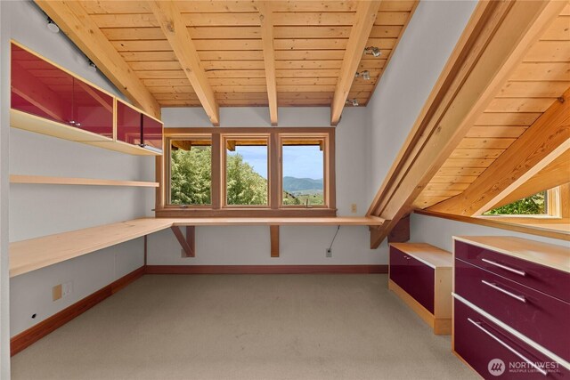 50 Sage Canyon Dr, Winthrop, WA 98862 - view of storage