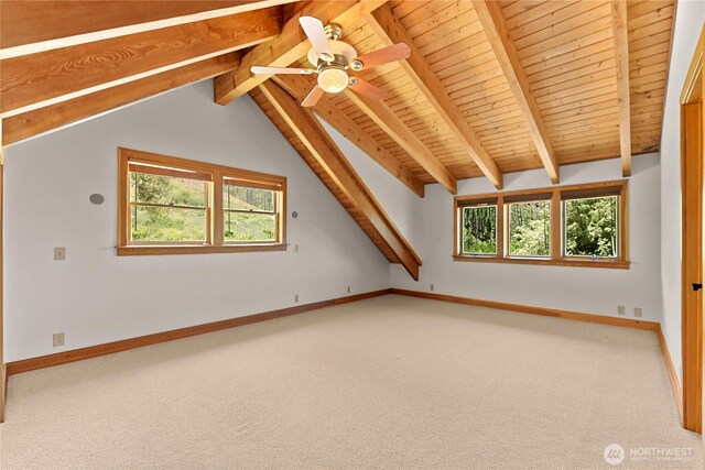 50 Sage Canyon Dr, Winthrop, WA 98862 - additional living space featuring healthy amount of natural light, carpet, wooden ceiling, and ceiling fan