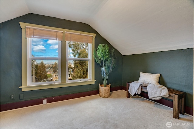 additional living space with carpet and vaulted ceiling