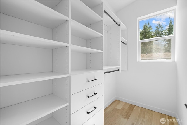 spacious closet with light wood finished floors