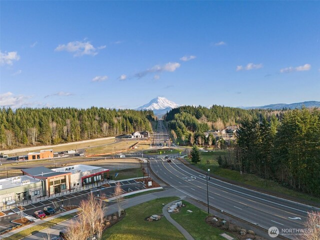 15132 Tyee Dr E, Bonney Lake, WA 98391 - aerial view with a mountain view and a wooded view