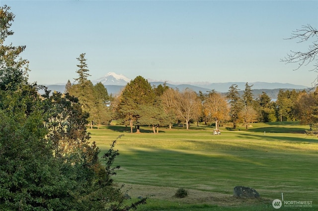 64 Garry Oak Ln, Friday Harbor, WA 98250 - view of property's community with a mountain view and a lawn