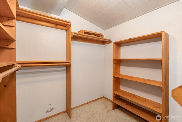 64 Garry Oak Ln, Friday Harbor, WA 98250 - spacious closet with lofted ceiling