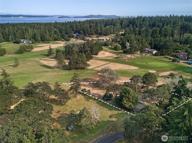 64 Garry Oak Ln, Friday Harbor, WA 98250 - drone / aerial view featuring a view of trees and a water view