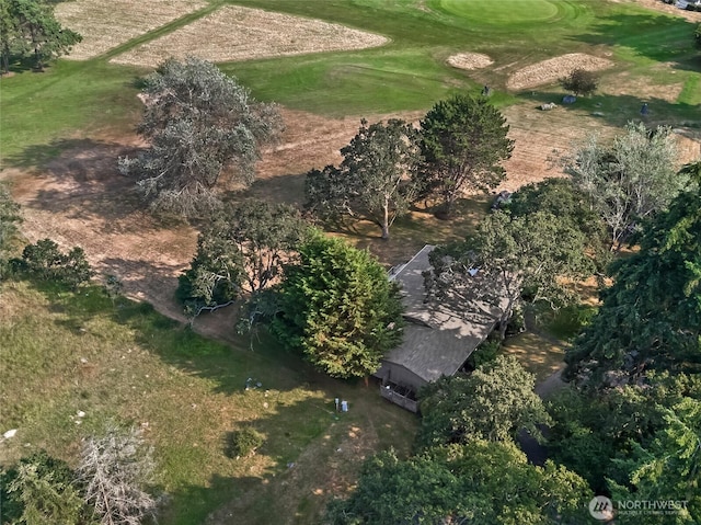 64 Garry Oak Ln, Friday Harbor, WA 98250 - drone / aerial view