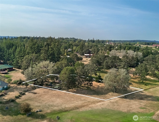 64 Garry Oak Ln, Friday Harbor, WA 98250 - bird's eye view featuring a rural view and a forest view