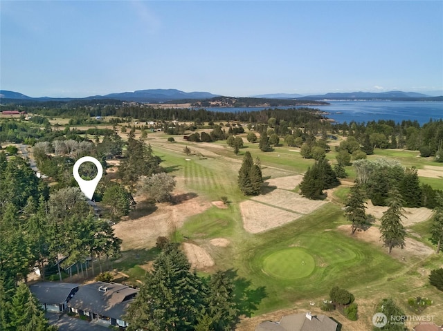 64 Garry Oak Ln, Friday Harbor, WA 98250 - aerial view featuring a water and mountain view