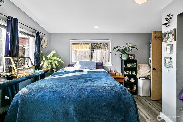 bedroom with multiple windows and wood finished floors