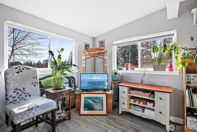 sitting room featuring vaulted ceiling and light wood-type flooring