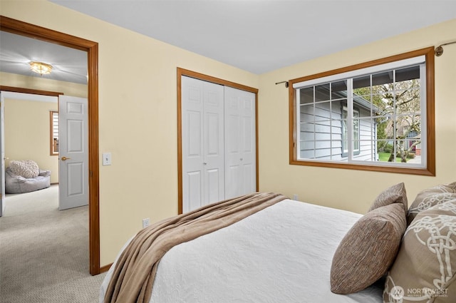 bedroom featuring a closet and light colored carpet