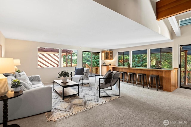 carpeted living area featuring beamed ceiling and bar area