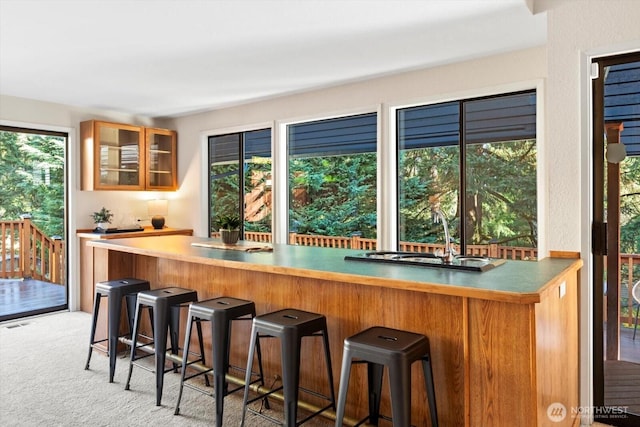 bar featuring light carpet and a sink