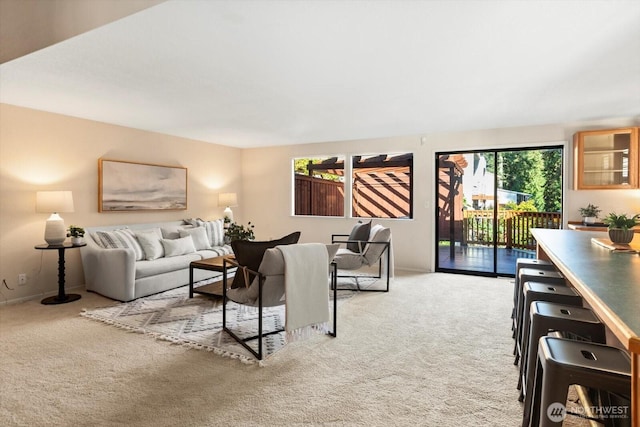 living room featuring carpet flooring