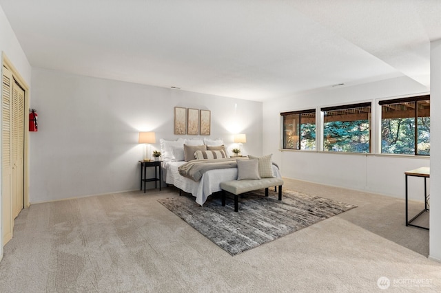 bedroom featuring carpet and a closet