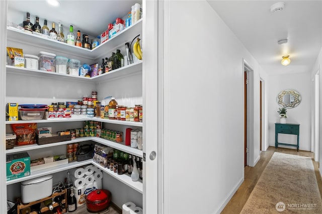 view of pantry