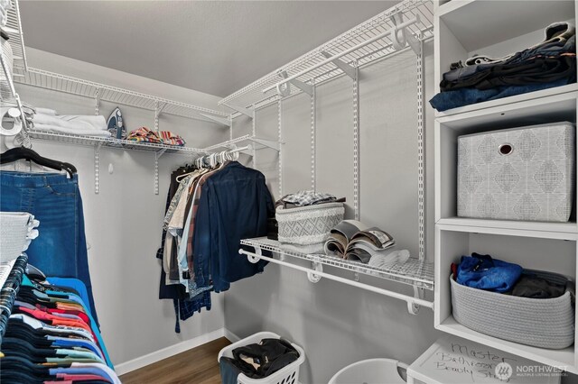 spacious closet featuring wood finished floors