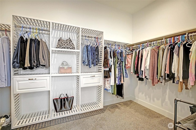 spacious closet with carpet flooring