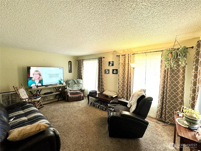 living room featuring carpet floors and a textured ceiling