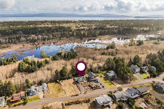 bird's eye view with a water view and a forest view