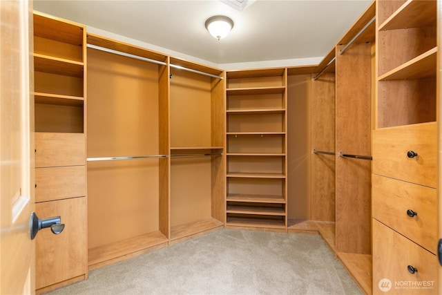 spacious closet with carpet flooring