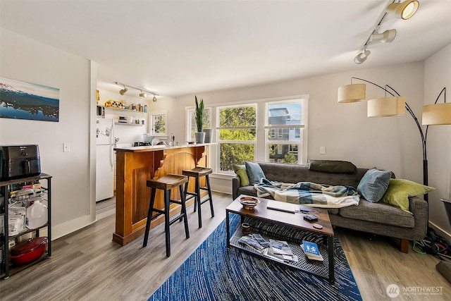 living room featuring light wood-style flooring and track lighting