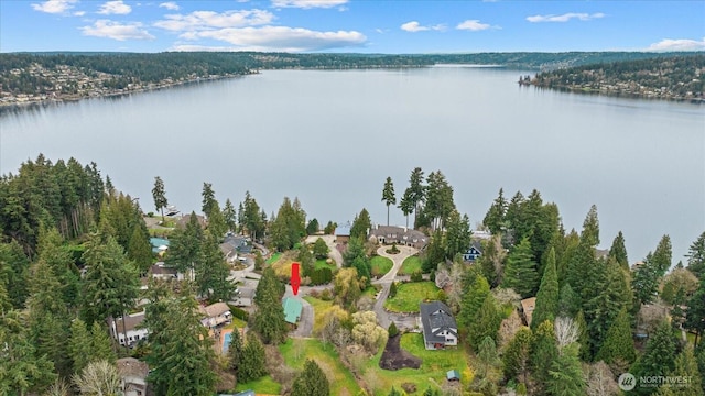 bird's eye view featuring a wooded view and a water view