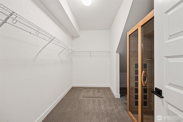 walk in closet featuring carpet flooring