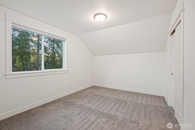 bonus room featuring carpet flooring, vaulted ceiling, and baseboards