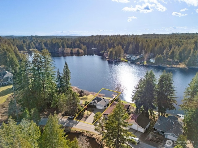 birds eye view of property with a water view and a forest view