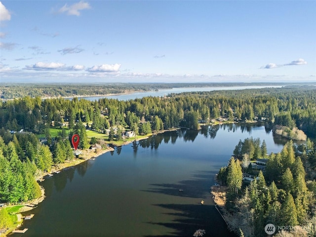 bird's eye view with a water view and a view of trees