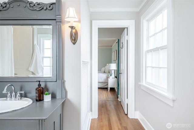 bathroom featuring baseboards, wood finished floors, vanity, and ornamental molding